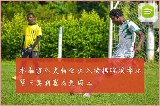 水晶宫队史转会收入榜揭晓埃泽比萨卡奥利塞名列前三